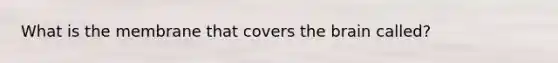 What is the membrane that covers the brain called?