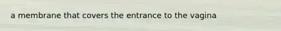 a membrane that covers the entrance to the vagina