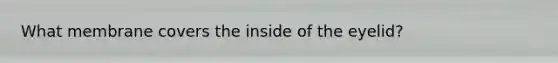 What membrane covers the inside of the eyelid?