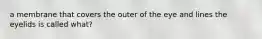 a membrane that covers the outer of the eye and lines the eyelids is called what?