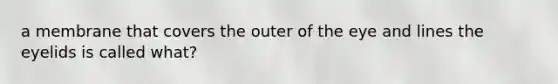 a membrane that covers the outer of the eye and lines the eyelids is called what?