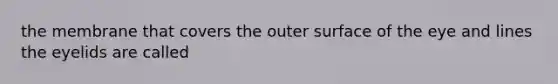 the membrane that covers the outer surface of the eye and lines the eyelids are called