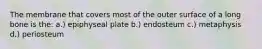 The membrane that covers most of the outer surface of a long bone is the: a.) epiphyseal plate b.) endosteum c.) metaphysis d.) periosteum