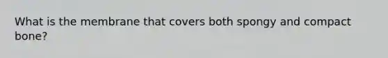 What is the membrane that covers both spongy and compact bone?