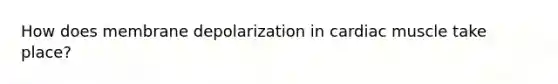 How does membrane depolarization in cardiac muscle take place?