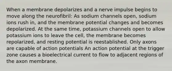 When a membrane depolarizes and a nerve impulse begins to move along the neurofibril: As sodium channels open, sodium ions rush in, and the membrane potential changes and becomes depolarized. At the same time, potassium channels open to allow potassium ions to leave the cell, the membrane becomes repolarized, and resting potential is reestablished. Only axons are capable of action potentials An action potential at the trigger zone causes a bioelectrical current to flow to adjacent regions of the axon membrane.