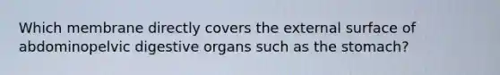 Which membrane directly covers the external surface of abdominopelvic digestive organs such as the stomach?