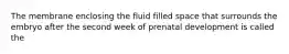 The membrane enclosing the fluid filled space that surrounds the embryo after the second week of prenatal development is called the