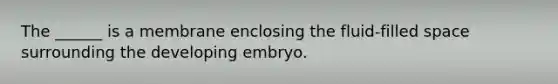 The ______ is a membrane enclosing the fluid-filled space surrounding the developing embryo.