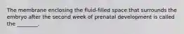 The membrane enclosing the fluid-filled space that surrounds the embryo after the second week of prenatal development is called the ________.