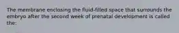 The membrane enclosing the fluid-filled space that surrounds the embryo after the second week of prenatal development is called the: