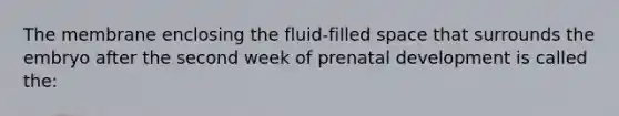 The membrane enclosing the fluid-filled space that surrounds the embryo after the second week of prenatal development is called the: