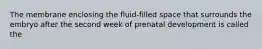 The membrane enclosing the fluid-filled space that surrounds the embryo after the second week of prenatal development is called the