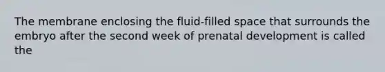 The membrane enclosing the fluid-filled space that surrounds the embryo after the second week of <a href='https://www.questionai.com/knowledge/kMumvNdQFH-prenatal-development' class='anchor-knowledge'>prenatal development</a> is called the