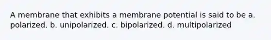 A membrane that exhibits a membrane potential is said to be a. polarized. b. unipolarized. c. bipolarized. d. multipolarized