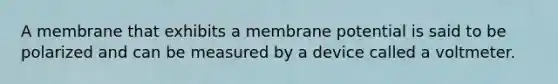 A membrane that exhibits a membrane potential is said to be polarized and can be measured by a device called a voltmeter.