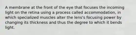 A membrane at the front of the eye that focuses the incoming light on the retina using a process called accommodation, in which specialized muscles alter the lens's focusing power by changing its thickness and thus the degree to which it bends light.