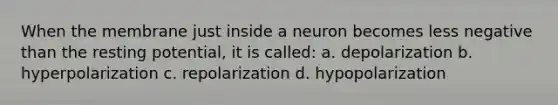 When the membrane just inside a neuron becomes less negative than the resting potential, it is called: a. depolarization b. hyperpolarization c. repolarization d. hypopolarization