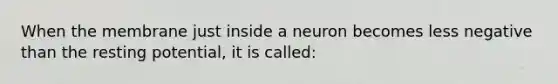 When the membrane just inside a neuron becomes less negative than the resting potential, it is called: