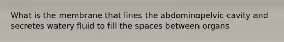 What is the membrane that lines the abdominopelvic cavity and secretes watery fluid to fill the spaces between organs