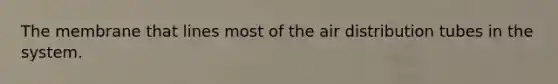 The membrane that lines most of the air distribution tubes in the system.