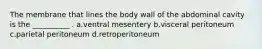 The membrane that lines the body wall of the abdominal cavity is the __________ . a.ventral mesentery b.visceral peritoneum c.parietal peritoneum d.retroperitoneum