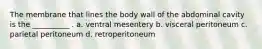 The membrane that lines the body wall of the abdominal cavity is the __________ . a. ventral mesentery b. visceral peritoneum c. parietal peritoneum d. retroperitoneum