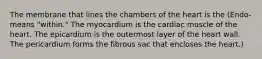 The membrane that lines the chambers of the heart is the (Endo- means "within." The myocardium is the cardiac muscle of the heart. The epicardium is the outermost layer of the heart wall. The pericardium forms the fibrous sac that encloses the heart.)