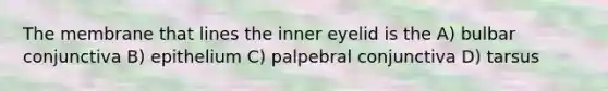 The membrane that lines the inner eyelid is the A) bulbar conjunctiva B) epithelium C) palpebral conjunctiva D) tarsus