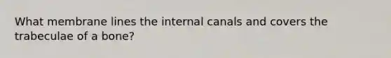 What membrane lines the internal canals and covers the trabeculae of a bone?