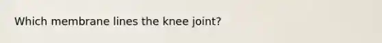 Which membrane lines the knee joint?