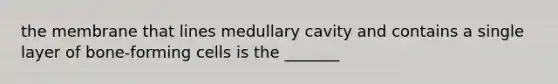 the membrane that lines medullary cavity and contains a single layer of bone-forming cells is the _______