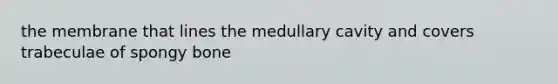 the membrane that lines the medullary cavity and covers trabeculae of spongy bone