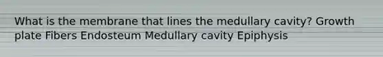 What is the membrane that lines the medullary cavity? Growth plate Fibers Endosteum Medullary cavity Epiphysis