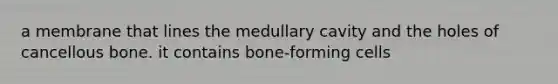 a membrane that lines the medullary cavity and the holes of cancellous bone. it contains bone-forming cells