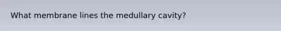 What membrane lines the medullary cavity?