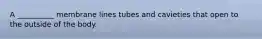 A __________ membrane lines tubes and cavieties that open to the outside of the body.