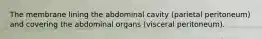 The membrane lining the abdominal cavity (parietal peritoneum) and covering the abdominal organs (visceral peritoneum).