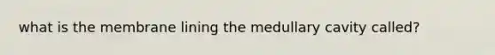 what is the membrane lining the medullary cavity called?