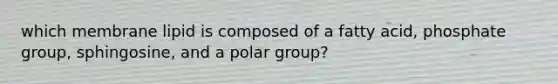 which membrane lipid is composed of a fatty acid, phosphate group, sphingosine, and a polar group?