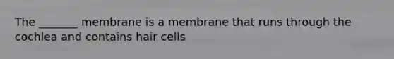 The _______ membrane is a membrane that runs through the cochlea and contains hair cells