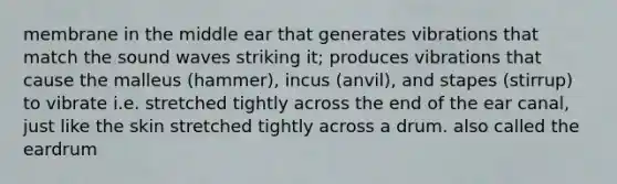 membrane in the middle ear that generates vibrations that match the sound waves striking it; produces vibrations that cause the malleus (hammer), incus (anvil), and stapes (stirrup) to vibrate i.e. stretched tightly across the end of the ear canal, just like the skin stretched tightly across a drum. also called the eardrum