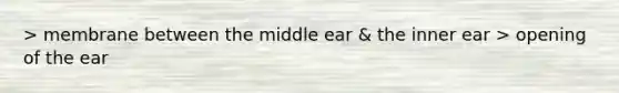 > membrane between the middle ear & the inner ear > opening of the ear