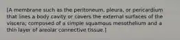 [A membrane such as the peritoneum, pleura, or pericardium that lines a body cavity or covers the external surfaces of the viscera; composed of a simple squamous mesothelium and a thin layer of areolar connective tissue.]