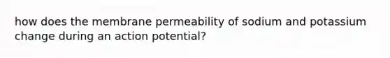 how does the membrane permeability of sodium and potassium change during an action potential?