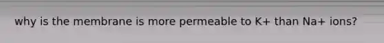 why is the membrane is more permeable to K+ than Na+ ions?