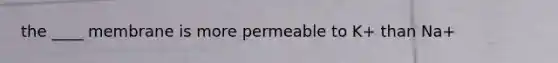 the ____ membrane is more permeable to K+ than Na+