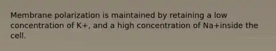 Membrane polarization is maintained by retaining a low concentration of K+, and a high concentration of Na+inside the cell.