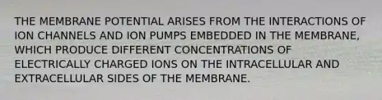 THE MEMBRANE POTENTIAL ARISES FROM THE INTERACTIONS OF ION CHANNELS AND ION PUMPS EMBEDDED IN THE MEMBRANE, WHICH PRODUCE DIFFERENT CONCENTRATIONS OF ELECTRICALLY CHARGED IONS ON THE INTRACELLULAR AND EXTRACELLULAR SIDES OF THE MEMBRANE.