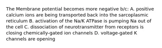 The Membrane potential becomes more negative b/c: A. positive calcium ions are being transported back into the sarcoplasmic reticulum B. activation of the Na/K ATPase is pumping Na out of the cell C. dissociation of neurotransmitter from receptors is closing chemically-gated ion channels D. voltage-gated K channels are opening